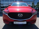 Mazda CX 5 bei Gebrauchtwagen.expert - Abbildung (5 / 15)