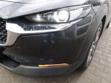 Mazda CX-30 bei Gebrauchtwagen.expert - Abbildung (10 / 15)
