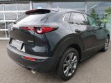 Mazda CX-30 bei Gebrauchtwagen.expert - Abbildung (7 / 15)