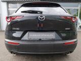 Mazda CX-30 bei Gebrauchtwagen.expert - Abbildung (8 / 15)