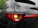 Mazda CX-30 bei Gebrauchtwagen.expert - Abbildung (11 / 15)