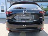 Mazda CX 5 bei Gebrauchtwagen.expert - Abbildung (8 / 15)