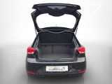 Seat Ibiza bei Gebrauchtwagen.expert - Abbildung (14 / 15)