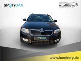 Skoda Octavia bei Gebrauchtwagen.expert - Abbildung (2 / 15)