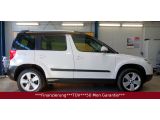 Skoda Yeti bei Gebrauchtwagen.expert - Abbildung (7 / 15)