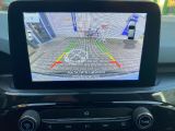Ford Kuga bei Gebrauchtwagen.expert - Abbildung (11 / 15)