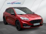 Ford Kuga bei Gebrauchtwagen.expert - Abbildung (2 / 15)