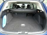 Ford Focus bei Gebrauchtwagen.expert - Abbildung (8 / 15)