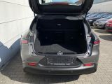 Alfa Romeo Tonale bei Gebrauchtwagen.expert - Abbildung (10 / 15)