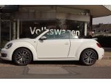 VW Beetle bei Gebrauchtwagen.expert - Abbildung (8 / 15)
