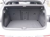VW Golf VIII bei Gebrauchtwagen.expert - Abbildung (7 / 14)