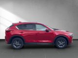 Mazda CX 5 bei Gebrauchtwagen.expert - Abbildung (5 / 15)