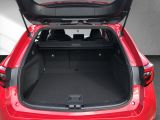 Toyota Corolla bei Gebrauchtwagen.expert - Abbildung (12 / 15)