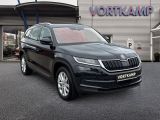 Skoda Kodiaq bei Gebrauchtwagen.expert - Abbildung (3 / 15)