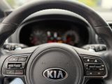 Kia Sportage bei Gebrauchtwagen.expert - Abbildung (13 / 15)