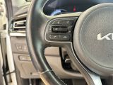 Kia Niro bei Gebrauchtwagen.expert - Abbildung (14 / 15)