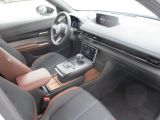 Mazda MX-30 bei Gebrauchtwagen.expert - Abbildung (8 / 15)