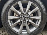 Mazda 6 bei Gebrauchtwagen.expert - Abbildung (8 / 15)