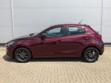Mazda 2 bei Gebrauchtwagen.expert - Abbildung (3 / 15)