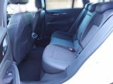 Opel Insignia bei Gebrauchtwagen.expert - Abbildung (11 / 15)