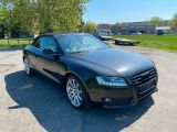 Audi A5 Cabriolet bei Gebrauchtwagen.expert - Abbildung (10 / 15)