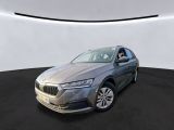 Skoda Octavia bei Gebrauchtwagen.expert - Abbildung (4 / 6)