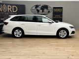 Skoda Octavia bei Gebrauchtwagen.expert - Abbildung (6 / 10)