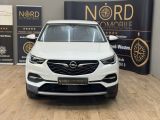Opel Grandland X bei Gebrauchtwagen.expert - Abbildung (5 / 10)