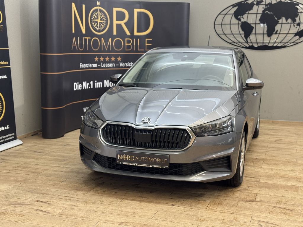 Skoda Fabia bei Gebrauchtwagen.expert - Hauptabbildung Skoda Fabia bei Gebrauchtwagen.expert - Hauptabbildung