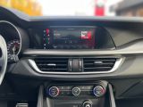 Alfa Romeo Stelvio bei Gebrauchtwagen.expert - Abbildung (14 / 15) Alfa Romeo Stelvio bei Gebrauchtwagen.expert - Abbildung (14 / 15)
