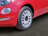 Fiat 500 bei Gebrauchtwagen.expert - Abbildung (8 / 13)