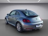 VW Beetle bei Gebrauchtwagen.expert - Abbildung (3 / 15)