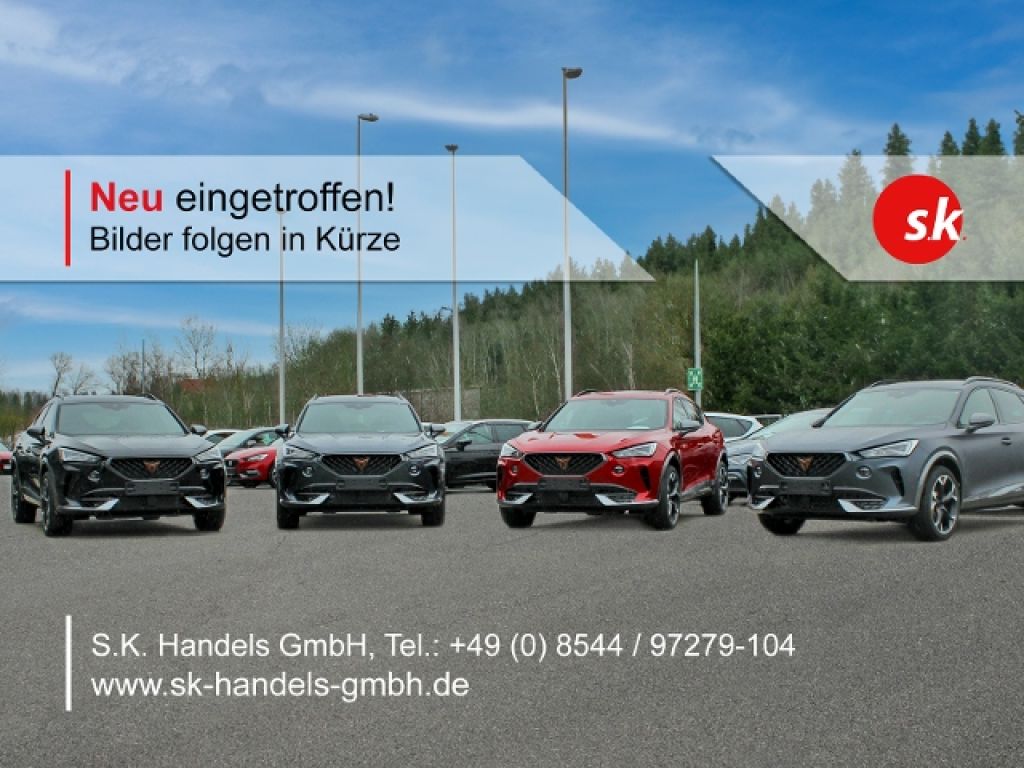 Seat Leon bei Gebrauchtwagen.expert - Hauptabbildung