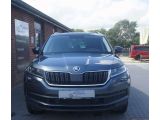 Skoda Kodiaq bei Gebrauchtwagen.expert - Abbildung (5 / 15)