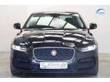 Jaguar XE bei Gebrauchtwagen.expert - Abbildung (2 / 15)