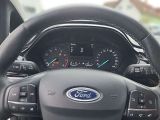 Ford Fiesta bei Gebrauchtwagen.expert - Abbildung (7 / 15)
