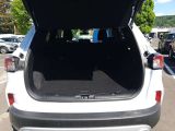 Ford Kuga bei Gebrauchtwagen.expert - Abbildung (5 / 15)