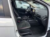 Ford EcoSport bei Gebrauchtwagen.expert - Abbildung (13 / 15)