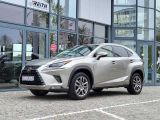 Lexus NX bei Gebrauchtwagen.expert - Abbildung (2 / 15)