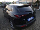 Mazda SKYACTIV-G 2.0 Hybrid Selection bei Gebrauchtwagen.expert - Abbildung (2 / 15)