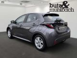 Mazda 2 bei Gebrauchtwagen.expert - Abbildung (4 / 14)