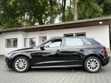 Audi A3 bei Gebrauchtwagen.expert - Abbildung (6 / 15)