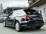 Audi A3 bei Gebrauchtwagen.expert - Abbildung (7 / 15)