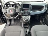 Fiat Panda bei Gebrauchtwagen.expert - Abbildung (10 / 15) Fiat Panda bei Gebrauchtwagen.expert - Abbildung (10 / 15)