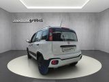 Fiat Panda bei Gebrauchtwagen.expert - Abbildung (8 / 15)