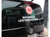 VW T6 Kombi bei Gebrauchtwagen.expert - Abbildung (9 / 15)
