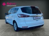 Ford S-Max bei Gebrauchtwagen.expert - Abbildung (3 / 15)