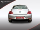 VW Beetle bei Gebrauchtwagen.expert - Abbildung (5 / 7)