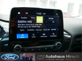 Ford Fiesta bei Gebrauchtwagen.expert - Abbildung (14 / 15) Ford Fiesta bei Gebrauchtwagen.expert - Abbildung (14 / 15)
