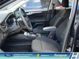 Ford Focus Turnier bei Gebrauchtwagen.expert - Abbildung (7 / 15)